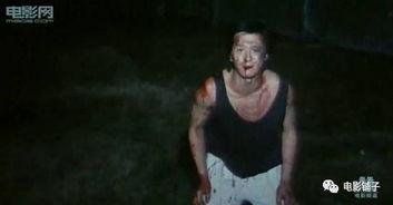 国产性虐,揭秘国产影视作品中的独特魅力与争议  第2张