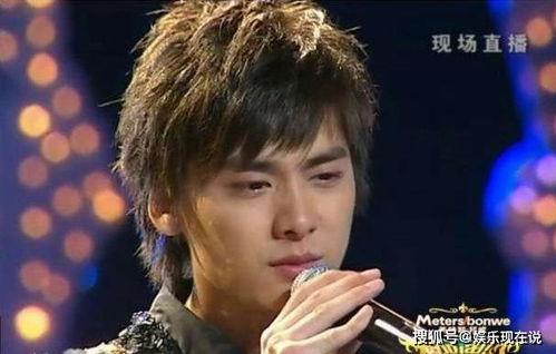 娱乐圈吃瓜李易峰是谁呀,揭秘李易峰的星光之路  第3张