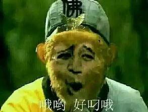 孙悟空吃瓜表情包是什么意思啊  第3张